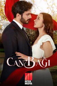 Струны души